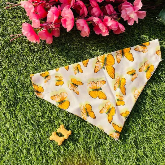 Yellow Butterfly Bandana