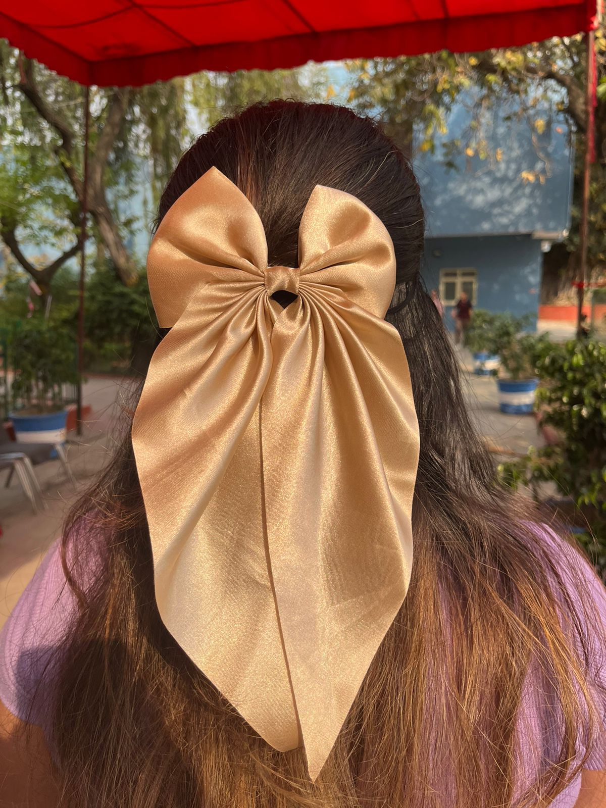 Princesses Bow Clip