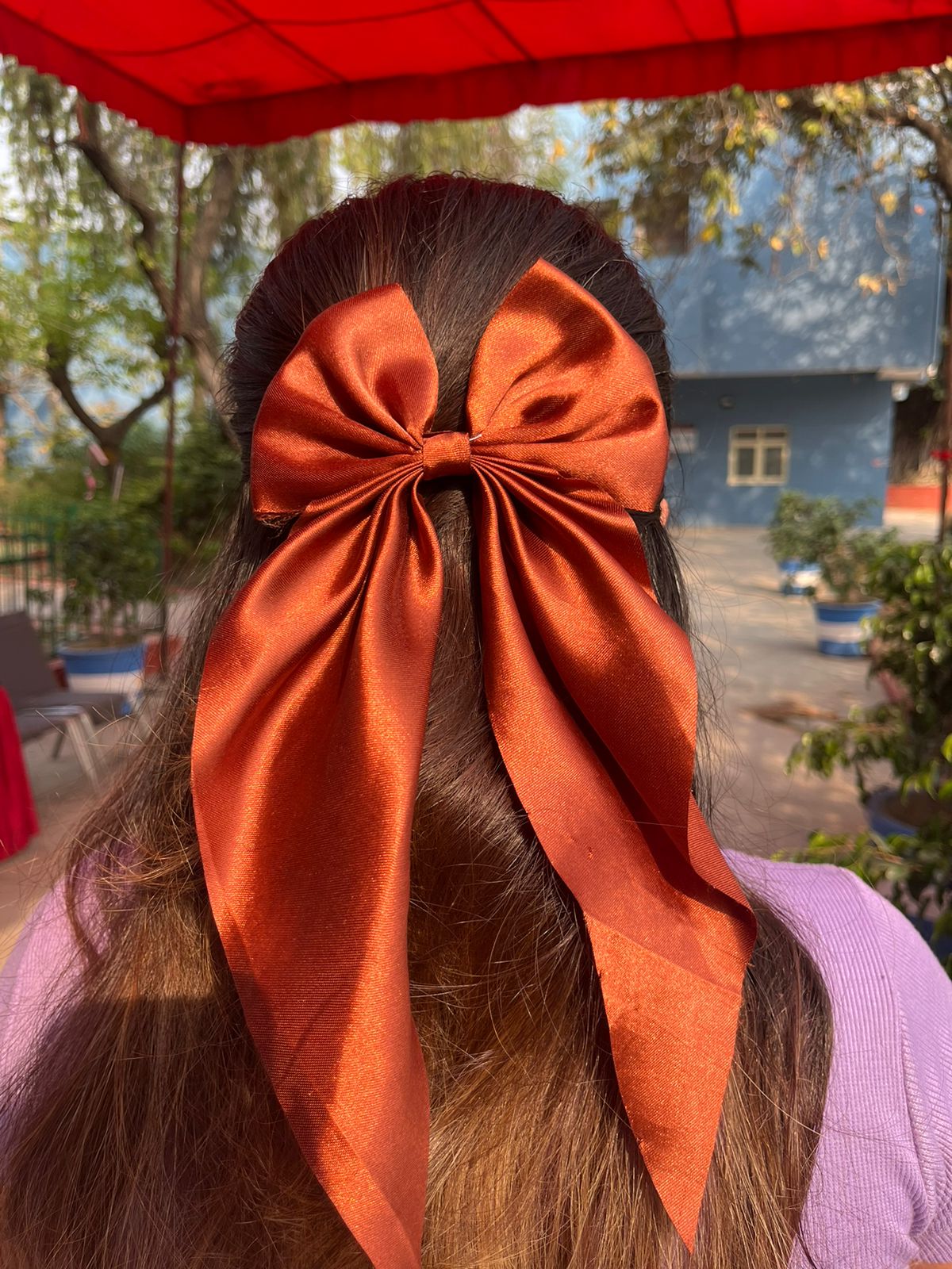 Princesses Bow Clip