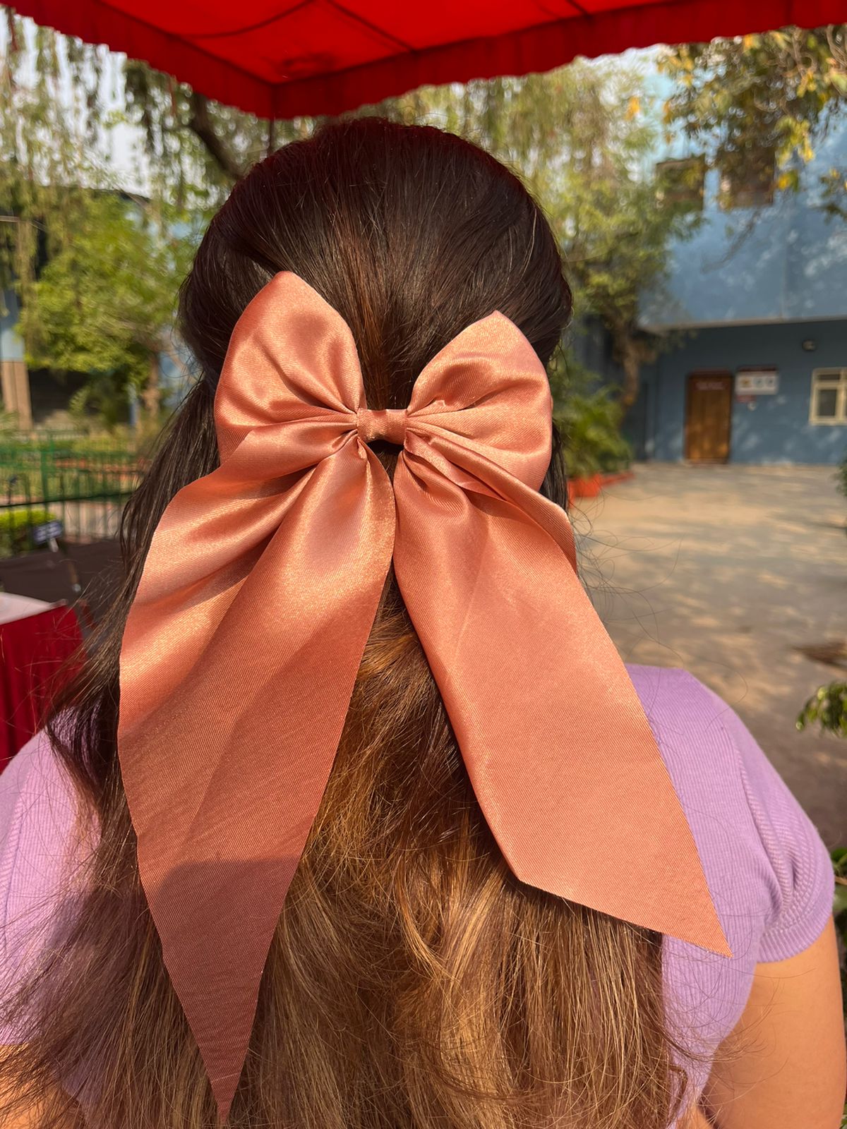 Princesses Bow Clip