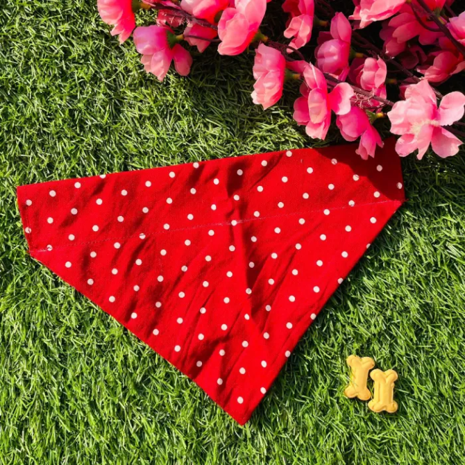 Red Polka Dot Bandana - Image 3